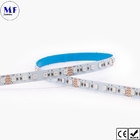 DC12V 24V LED 2835 Strip Light RGB RGBW IP20 IP65 IP68 Waterproof With CCT Dimming Control For Indoor Outdoor Lighting