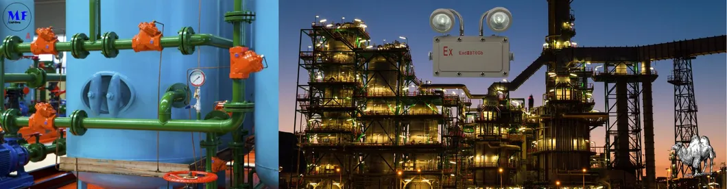 Lumière de secours pour issue de secours 2*5W, antidéflagrante, pour zones industrielles, zones minières, usines chimiques, installations pétrolières et gazières, hôpitaux 6