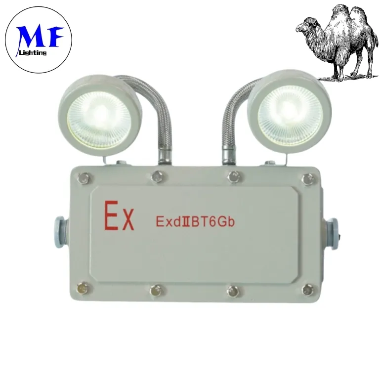 Lumière de secours pour issue de secours 2*5W, antidéflagrante, pour zones industrielles, zones minières, usines chimiques, installations pétrolières et gazières, hôpitaux 1