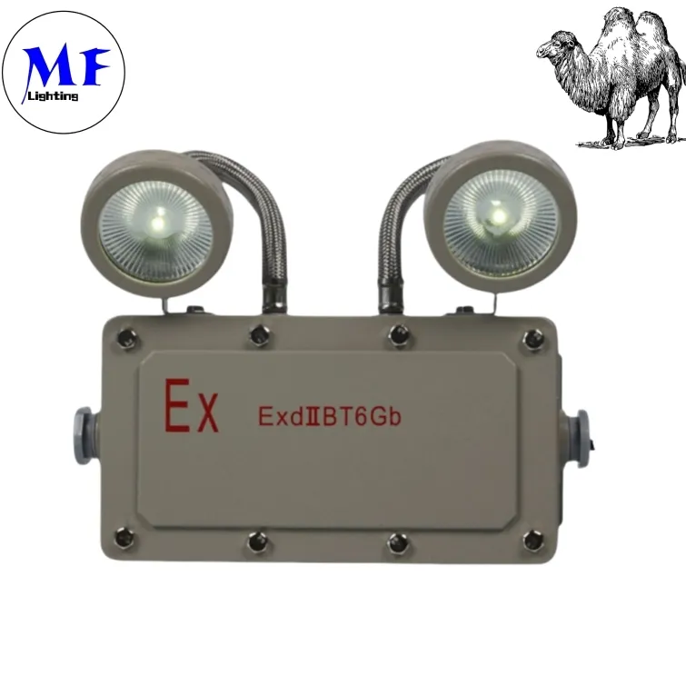 Lumière de secours pour issue de secours 2*5W, antidéflagrante, pour zones industrielles, zones minières, usines chimiques, installations pétrolières et gazières, hôpitaux 2