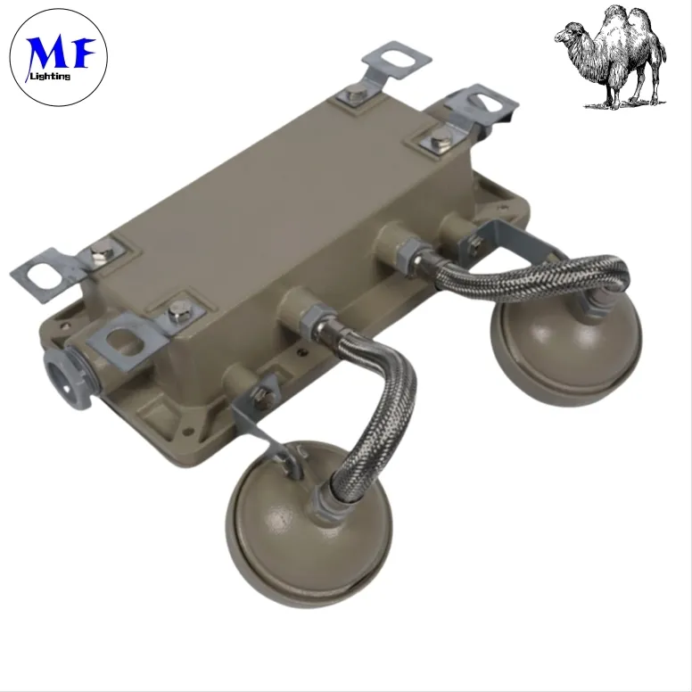 Lumière de secours pour issue de secours 2*5W, antidéflagrante, pour zones industrielles, zones minières, usines chimiques, installations pétrolières et gazières, hôpitaux 4