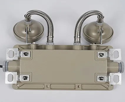 Lumière de secours pour issue de secours 2*5W, antidéflagrante, pour zones industrielles, zones minières, usines chimiques, installations pétrolières et gazières, hôpitaux 5