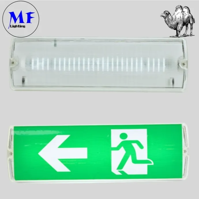 Lumière de signalisation de sortie d'urgence de sécurité LED avec 8W IP65 étanche à l'eau batterie au lithium mur montée ABS PC haute luminosité 6
