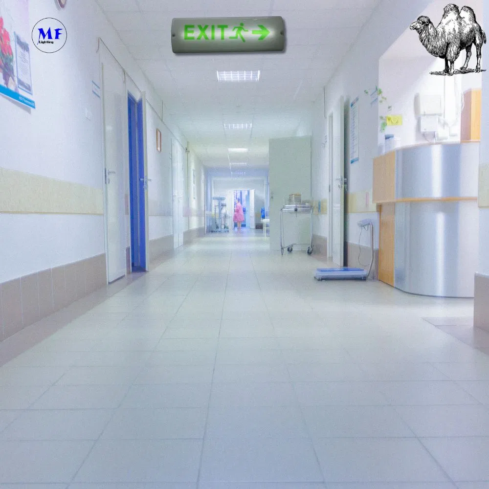 Lumière de signalisation de sortie d'urgence de sécurité LED avec 8W IP65 étanche à l'eau batterie au lithium mur montée ABS PC haute luminosité 10