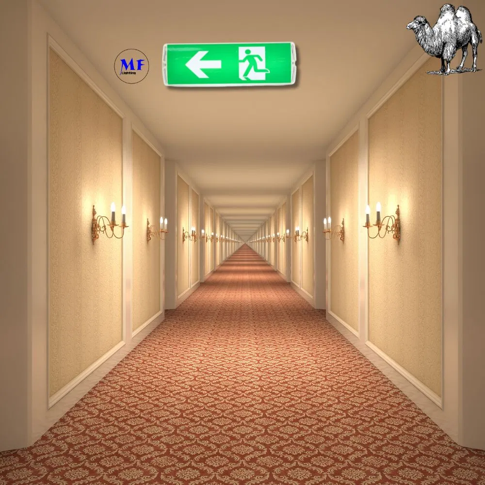 Lumière de signalisation de sortie d'urgence de sécurité LED avec 8W IP65 étanche à l'eau batterie au lithium mur montée ABS PC haute luminosité 14