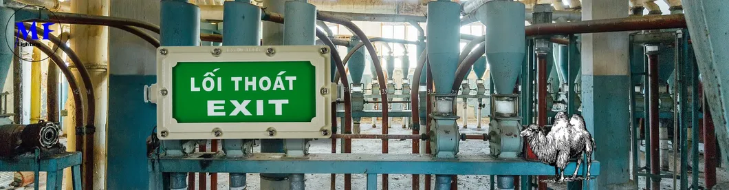 Signe de sortie d'évacuation d'urgence à LED résistant à l'explosion 9