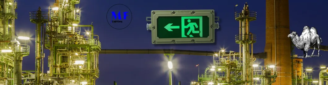Signe de sortie d'urgence LED monté sur le mur Lumière Ni-CD 4W IP65 Fer à l'épreuve des explosions Hôpital Aéroport panique 6