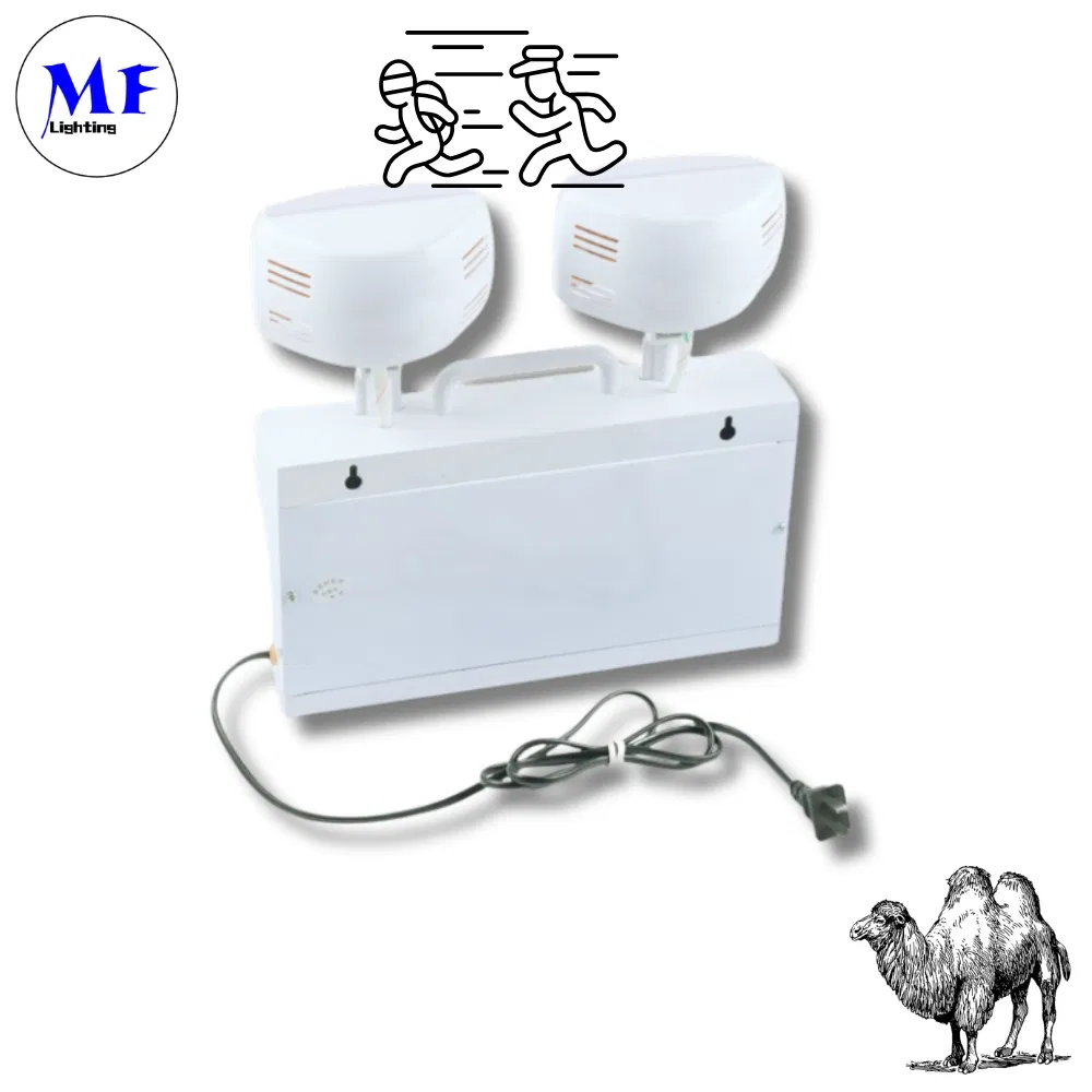 Kit d'alimentation en ballast IP65 Conducteur lumineux d'urgence Convertisseur d'urgence LED avec garantie de 3 ans 3 heures Temps de décharge Li-FEP04 6
