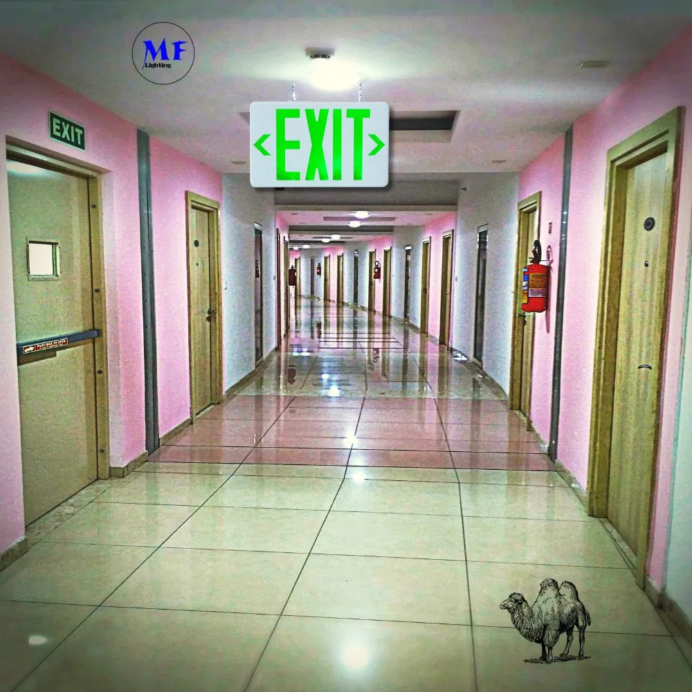 IP43 AC85-265V 3W LED éclairage d'urgence pour les écoles Hôpitaux Métro gares gares centres commerciaux Supermarché Aéroport bureaux usines Hôtels Baseme 11