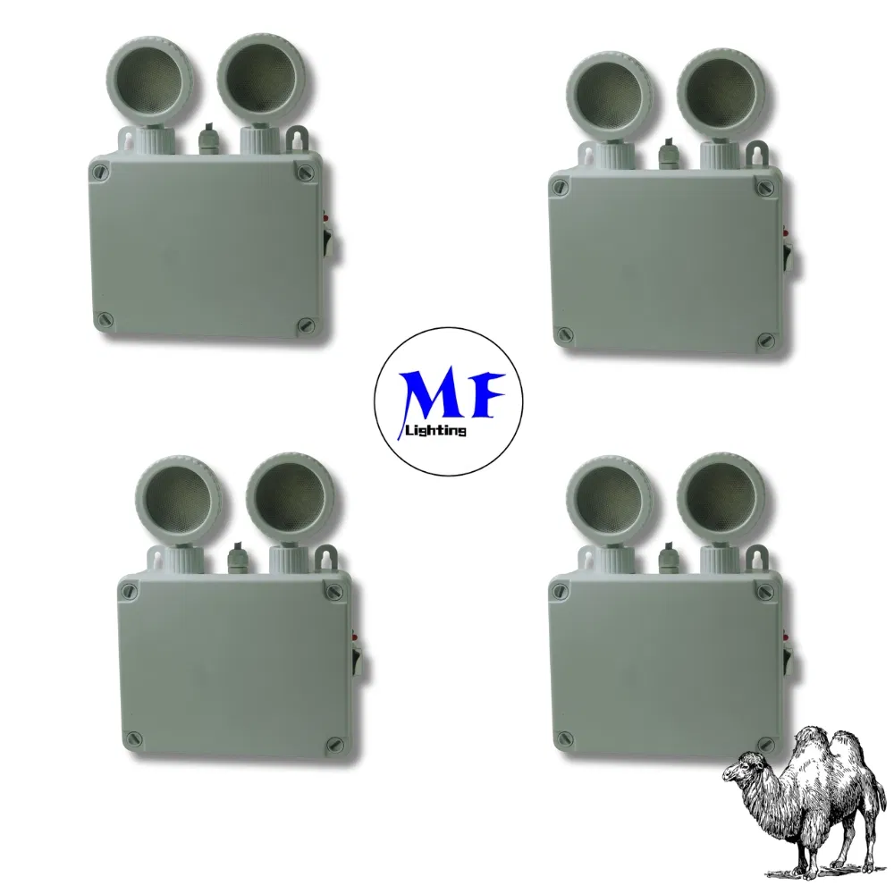 Lumière de secours d'évacuation LED blanche à batterie au lithium, doubles têtes, IP65, étanche, antidéflagrante, école, hôpital, métro, supermarché, entrepôt, aéroport 0