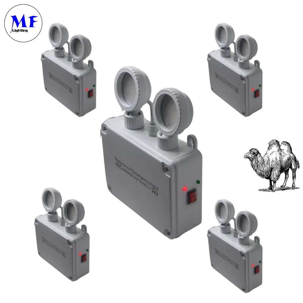 Lumière de secours d'évacuation LED blanche à batterie au lithium, doubles têtes, IP65, étanche, antidéflagrante, école, hôpital, métro, supermarché, entrepôt, aéroport 1