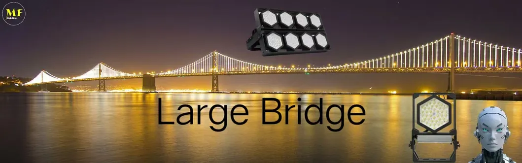 LED Sport Stadium Light Outdoor Landscape Modulaire Noir Couleur Anti-corrosion Haute puissance de conducteur 140lm/W IP67 Ik08 7