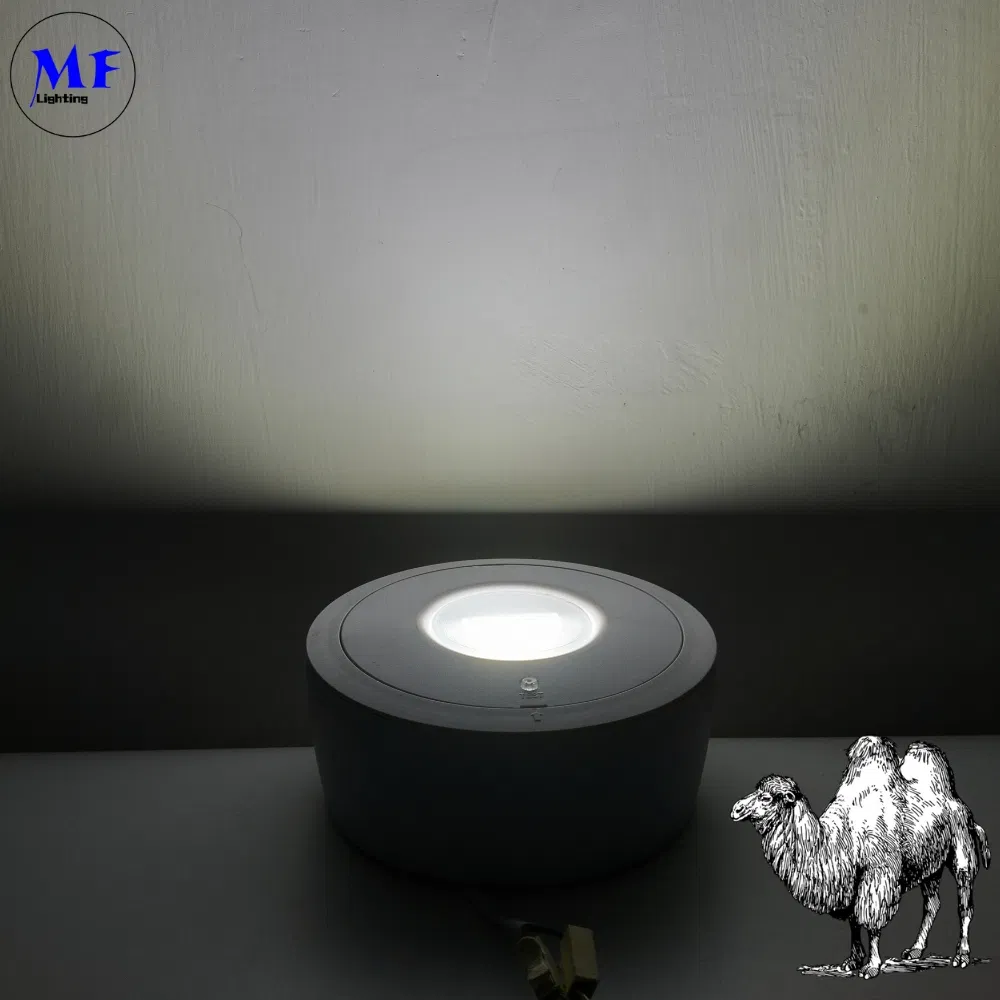 Panneau vers le bas lumière LED panne d'évacuation d'urgence panneau de sortie de lumière IP65 batterie de secours école publique rechargeable hôpital blanc 3