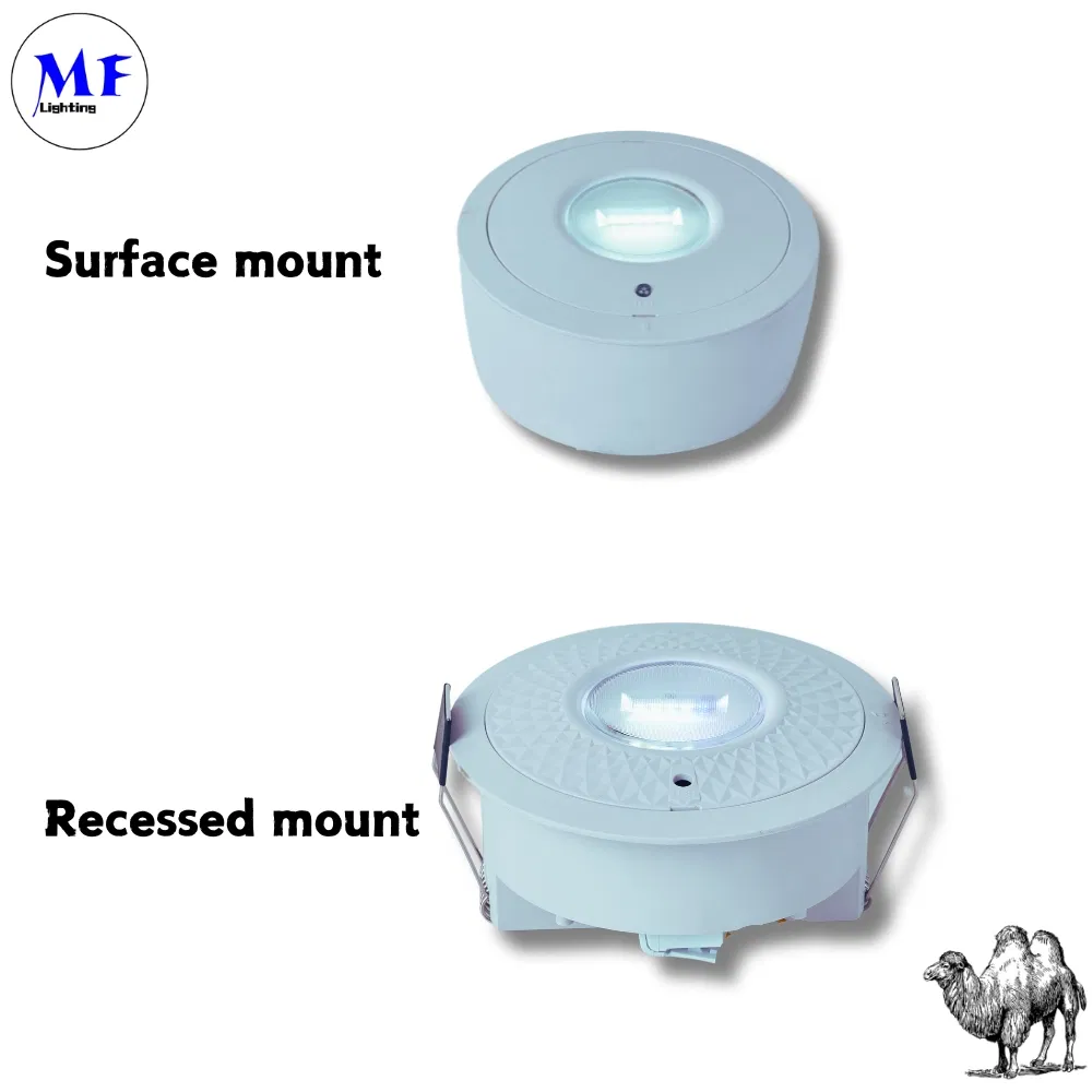 Panneau vers le bas lumière LED panne d'évacuation d'urgence panneau de sortie de lumière IP65 batterie de secours école publique rechargeable hôpital blanc 4
