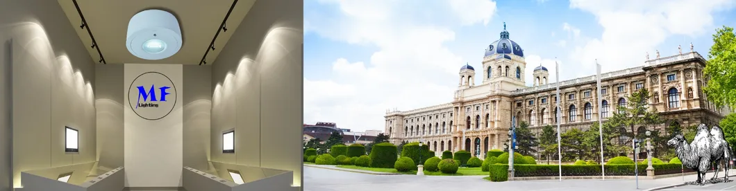 Panneau vers le bas lumière LED panne d'évacuation d'urgence panneau de sortie de lumière IP65 batterie de secours école publique rechargeable hôpital blanc 18
