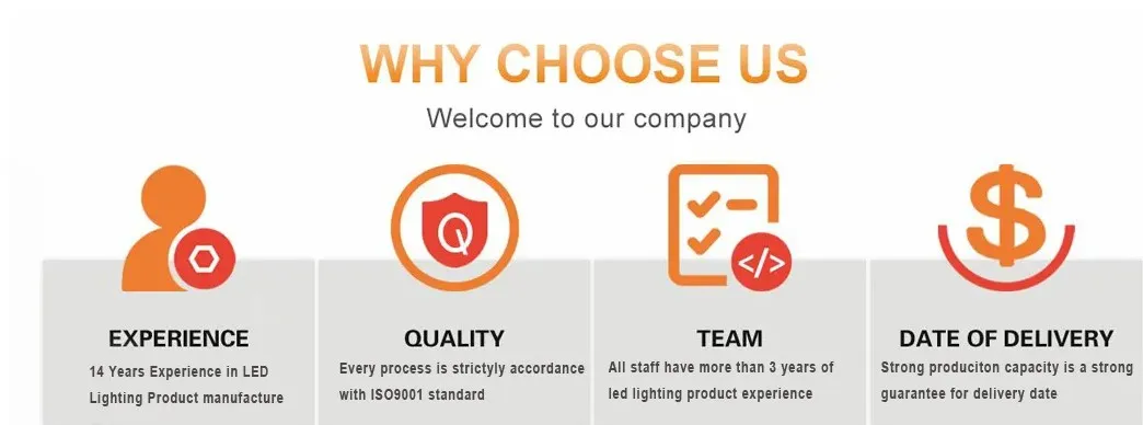Projecteur Gobo LED avec logo, UV, ND, Zoomable, Étendu, IP65, Ra97+, Centre d'exposition de contours 23