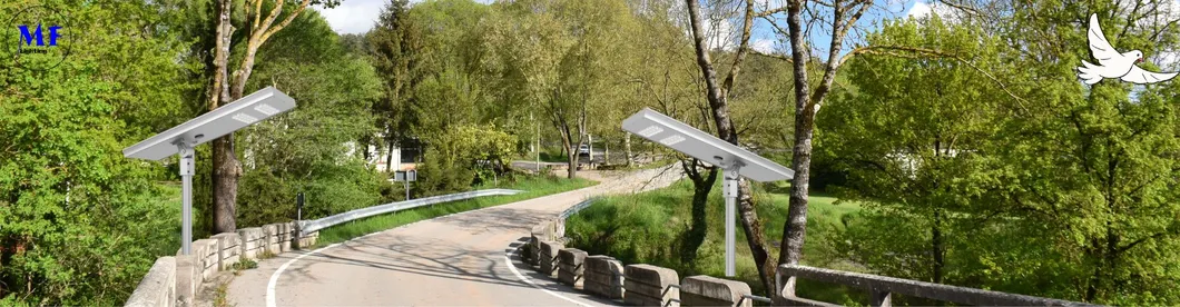 LED Street Solar Garden Light Sensor de mouvement Blanc argenté 120W 100W 80W Alu. IP66 Piéton de la cour de la villa 5