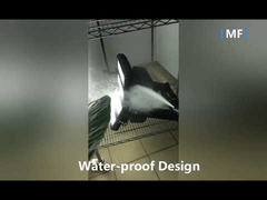 75W IP66 Grands Angles Projecteur LED 9200LM pour l'extérieur