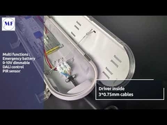 IP65 Triproof Lumière LED montée en surface avec diffuseur opale