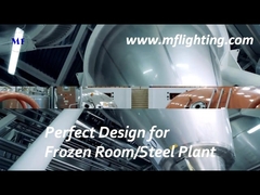 600mm LED Tri Proof Luminaire 25W Avec Diffuseur En Verre Trempé