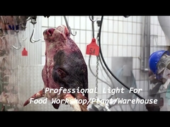 1200mm IP68 Imperméable Tri Proof LED Light Chain Support Monté