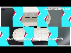 Lumières linéaires d'IP65 Triproof LED Dimmable pour l'usine de nourriture