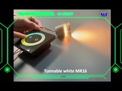 Blanc réglable du module MR16