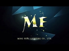 LUMIÈRE LÉGÈRE SERRÉE DE LA VAPEUR LED TRIPROOF D'IP66 LED