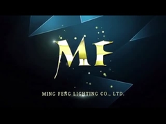 tri plafond de lumières de preuve de 20W 40W 60W 2ft 4ft 5ft LED/lumières serrées montées accrochantes de vapeur