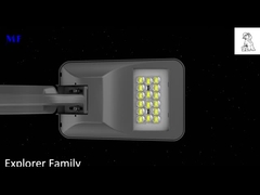 Trottoir de parc de réverbère à LED IP66 étanche Ik08 résistant aux intempéries 25W 50W 75W 100W