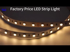 RGB RGBW IP20 IP65 IP68 7.2W-28.8W LED 5050 Lumière à bande