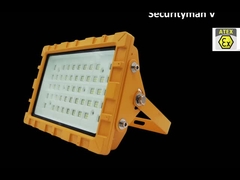 Réverbère anti-déflagrant d'IP66 IP67 LED avec IECEX EX antipoussière IK10 30W 50W 60W 80W 100W