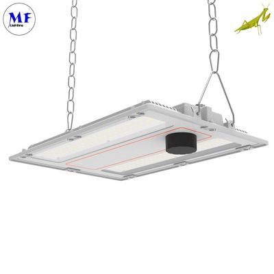 150W IP66 LED Linear High Bay Light Waterproof Dustproof 3000K-3500K Beam Angle 30°/60°/90° For Supermarket