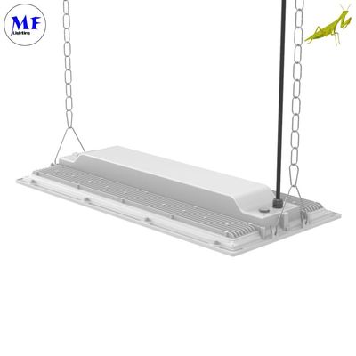 150W IP66 LED Linear High Bay Light Waterproof Dustproof 3000K-3500K Beam Angle 30°/60°/90° For Supermarket