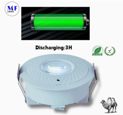 Panneau vers le bas lumière LED panne d'évacuation d'urgence panneau de sortie de lumière IP65 batterie de secours école publique rechargeable hôpital blanc