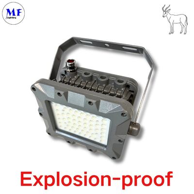 Éclairage LED antidéflagrant EATON pour l'exploitation pétrolière offshore, zones 1/2, 21/22, 50W 75W 100W 150W 200W 240W 300W 350W 400W, indice de protection IP66